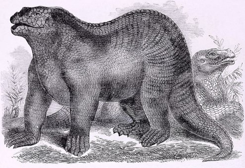An artist’s impression of an Iguanodon.