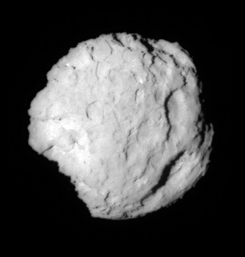 Comet Wild.